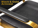 Black & Gold Salon Barber Chair for Hair Stylist with Hydraulic Pump & Thicken Cushion Beauty T6686P605588