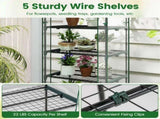 White 5-Tier Mini Greenhouse with PE Grid Cover, Tool-Free Assembly Portable Grow Tent for Indoor 08901361