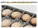 48H Pro 48-Egg Incubator 110V 85W, Fully Automatic Egg Turner, LED Egg Candler, Auto Temperature & 83766358