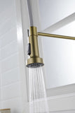 Kitchen Faucet with Pull Out Spraye W928112742
