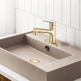 Bathroom Faucet with Pull Out Sprayer, Single Handle Modern Bathroom Basin Faucet with Pop-up W1224P290215