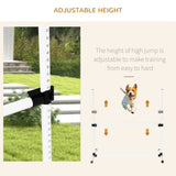 Dog agility training equipment 26572361