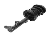 2x Front Left Right Strut Spring fit for Mercedes-Benz C320 2001 - 2005 1331517 53356128