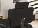 Professional Hydraulic Barber Chair - 360&deg Swivel with Adjustable Height, Stainless Steel 41738739