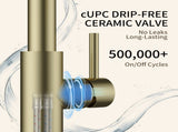 Kitchen Faucet with Pull Down Sprayer Brushed Gold T5879P505810