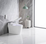 Elongated Smart Toilet with Elongated Heated Bidet Seat, Intelligent Toilet with Bidet Built-in, W2826P199068