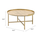 Oak and Gold Coffee Table with Tray Top B062P181359