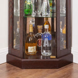 Lighted Corner Curio Cabinet - Display Case for Living Room, Antique Collectibles, Wine & Bar Glass W1758P294620