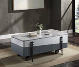 Grey and White High Gloss Coffee Table with Lift Top B062P209130