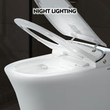 Luxury Smart Toilet with Dryer and warm water, Elongated Bidet Toilet with Heated Seat, with Remote WF314235AAA