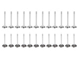 Intake & Exhaust Valves Replacement for Jeep Grand Cherokee Ram 1500 3.0L V6 EcoDiesel 2014-2018 64982778