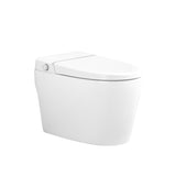 Smart Toilet Bidet Combo with Self-Cleaning Nozzle, Heated Seat, Night Light, Knob Control, Power W1219P243751