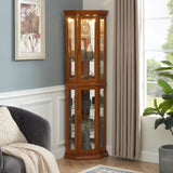 Corner Curio Cabinet with Lights, Adjustable Tempered Glass Shelves, Mirrored Back, Display W1693P165016