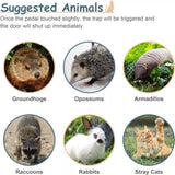 32" Live Animal Cage Trap Heavy Duty Steel Catch Humane Rodent Cage w/Iron Door 76222927