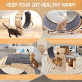 Cat Wheel 6-in-1 Cat Exercise Wheel,Upgraded Cat Wheel Exerciser for Indoor Cats,Large Cat W1790133437