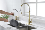 Kitchen Faucet with Pull Out Spraye W928112742