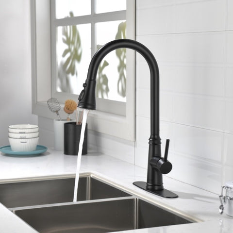 ZUN Single Handle High Arc Pull Out Kitchen Faucet,Single Level Stainless Steel Kitchen Sink Faucets 30523616