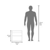 Medicine Cabinet 20.5" H, with 2 Shelves, 1 Door, and 1 Mirror, White B097P250869