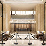 Stanchions and Velvet Ropes, 6 Pcs Crowd Control Barriers with 4 Black Velvet Ropes, Stainless Steel 79914294