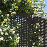 Metal Privacy Screen, Freestanding Outdoor Indoor Divider, Decorative Privacy Screen Panels for W1859P145842
