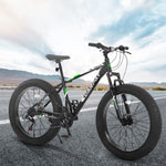 ZUN S26109 Elecony 26 Inch Fat Tire Bike Adult/Youth Full Shimano 21 Speed Mountain Bike, Dual Disc W709P156170