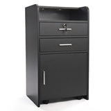 Salon Styling Station with 2 Drawers, 2 Hair Dryer Holders and 1 Cabinet, Black W2181P155877