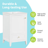 20" Bathroom Vanity with Sink, Bathroom Cabinet with Soft Closing Door, Storage Rack and A Drawer, 95881183