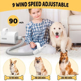 Pet Dog Dryer, 4-in-1 Dog Hair Dryer with Smart Heat-insulated Handle, 90m/s High-Velocity Dog Hair 39730321
