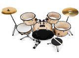 Full Size Adult Drum Set 5-Piece Champagne with Bass Drum, two Tom Drum, Snare Drum, Floor Tom, 16" 20420021