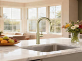 Kitchen Faucet with Pull Down Sprayer Brushed Gold T5879P505810