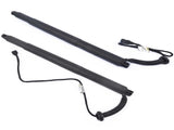 Pair Rear Electric Tailgate 7434044 7434043 for BMW X6 M F86 sDrive35i F16 2017 16619142