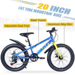 ZUN 20 Inch Kids Bicycles , Fat Tire Mountain Bike for Boys and Girls Age 5 + Years ,Dual-Disc W1019P203874