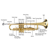Drop B Tone Adjustable Trumpet Gloves Set Plaint Golden 22632659