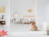 The Wooden Dog Fence White 88854609