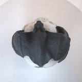 Fire Pit Demon Skull Gas Log for Ventless & Vent Free, Propane, Gel, Ethanol, Electric, Outdoor 16559452