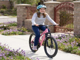 24 Inch Youth Mountain Bike with 7 Speeds & Front Suspension Durable Steel Frame, Alloy Rims & Disc W709P463455