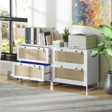 ZUN File Cabinet/ Storage cabinet （Prohibited by WalMart） 74438568