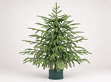 2 FT Rotating Pre-Lit Mini Christmas Tree with 8 Songs, Warm White LED Lights, PE Artificial Spruce 20392552