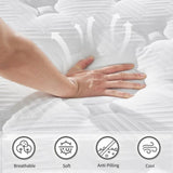 12 Inch TWIN Size Hybrid Mattress Individual Pocket Spring Oeko-Tex 100 Breathable Memory Foam W3017P318980