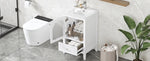 ZUN 20" Bathroom Vanity with Sink, Bathroom Cabinet with Soft Closing Glass Door, A Drawer, White N725P185457K