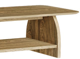 47 inch modern living room coffee table, double-layer rectangular coffee table with storage W1727P356434