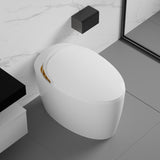 ZUN Unique Smart Toilet with Bidet Built In, Intelligent One Piece Toilet For Modern Bathroom, Auto W2826P230233