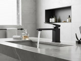 Single Handle Bathroom Faucet Lavatory Faucet Stainless Steel Single Hole-T20, Matte BlackUnable 83911547
