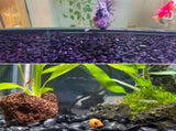 38lbs Black River Rocks, 2-3 inch Polished Pebbles for Plants, Vase Filler, Aquarium, Landscaping, 65620780