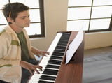 GDP-203 88 Key Standard Full Weighted Keyboards Digital Piano with Metal Stand, Power Adapter, 67140903