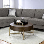 ZUN Light Brown and Champagne 1-Drawer Coffee Table B062P209129