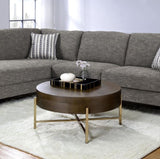 Light Brown and Champagne 1-Drawer Coffee Table B062P209129