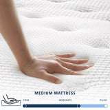 ZUN 12 Inch Queen Mattress with Pillows, Gel Memory Foam Mattress Bed in a Box, Twin Bed Mattress 64758197