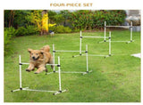 Dog agility training equipment 40236129
