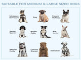 Dog Kennel, Welded Wire Heavy Duty Dog Run, Dog Kennel Outside 50792769